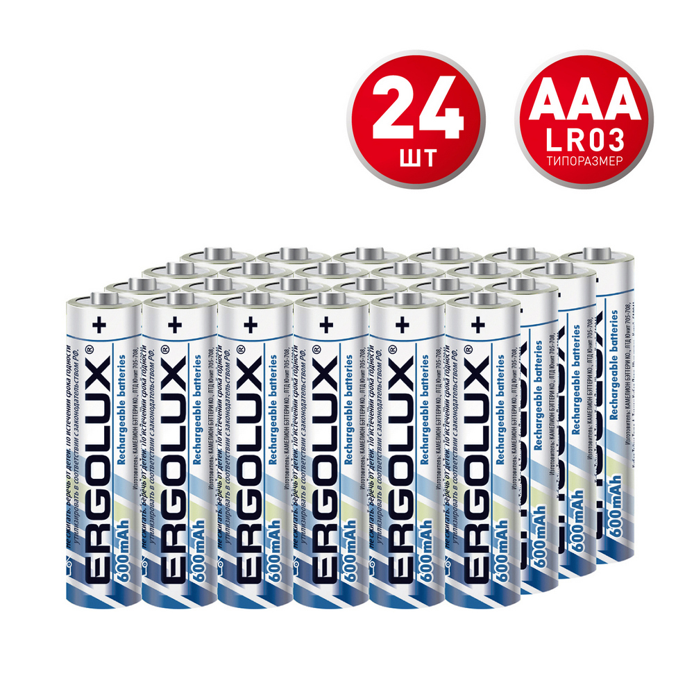 Аккумулятор Ergolux ААА мизинчиковый HR03 1,2 В Ni-MH 600 мАч (24 шт.) (NHAAA600BL2)