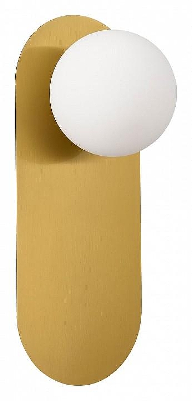 Бра EVOLUCE TOCCO SLE1194-301-01 цвет плафона/подвески Белый, цвет арматуры Латунь