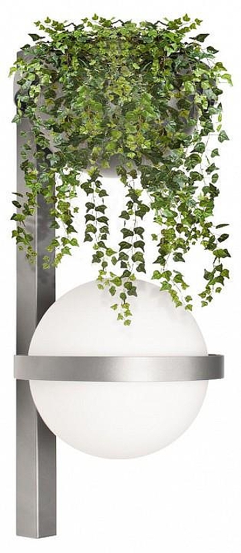 Бра Loft it Jard1n 10121W/B Dark grey цвет плафона/подвески Белый, цвет арматуры Антрацит