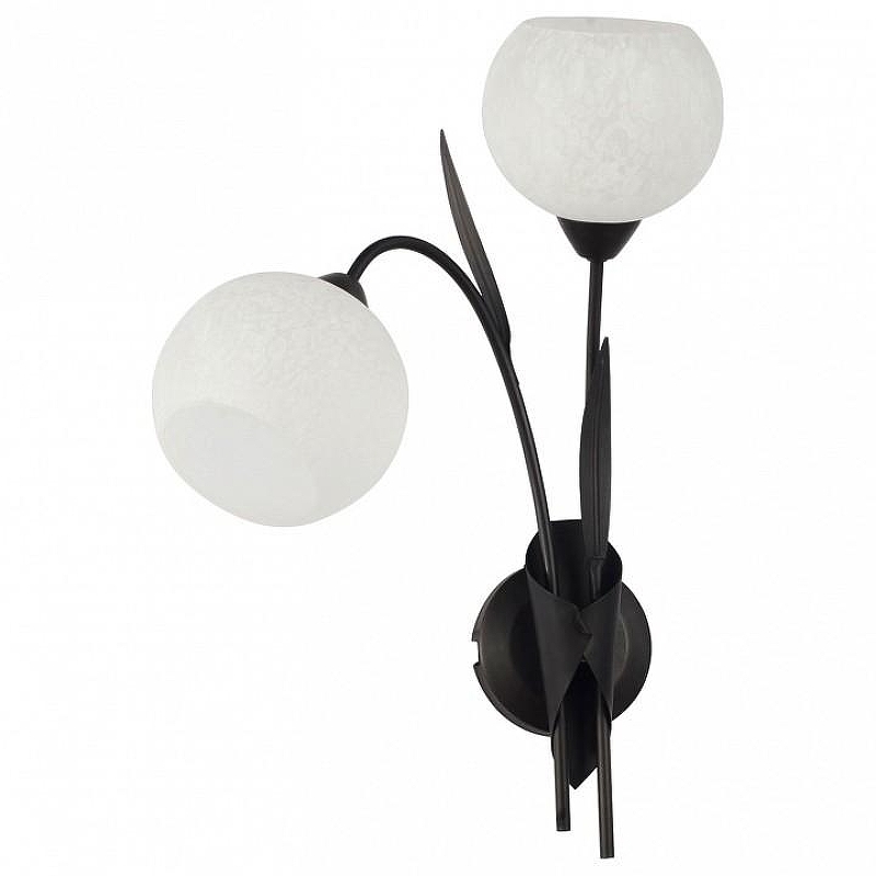 Бра Lussole Bagheria LSF-6291-02 цвет плафона/подвески Белый, цвет арматуры Коричневый