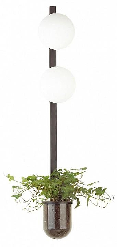 Бра Odeon Light Flower 4681/2WA цвет плафона/подвески Белый, цвет арматуры Черный