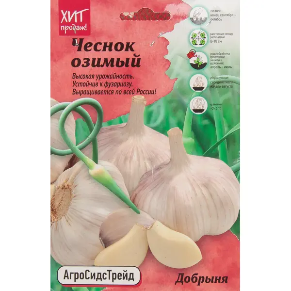 Чеснок озимый Добрыня 450г АСТ