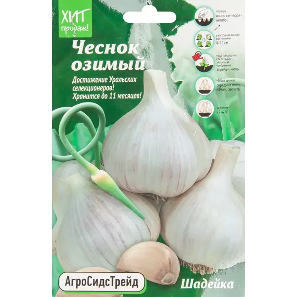 Чеснок озимый Шадейка 450г АСТ