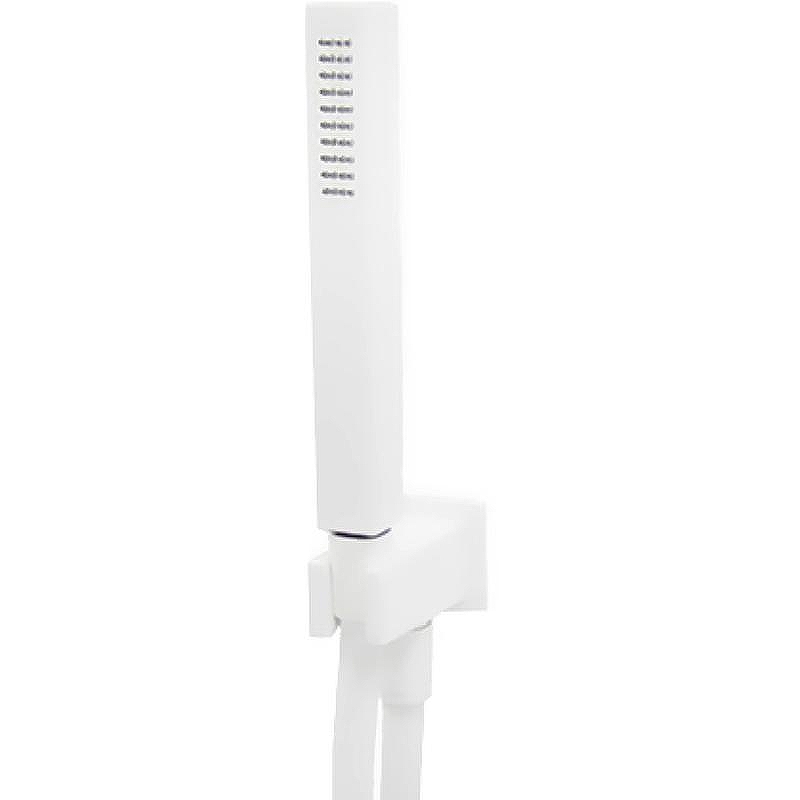 Душевой гарнитур Webert AC1045740 Белый матовый