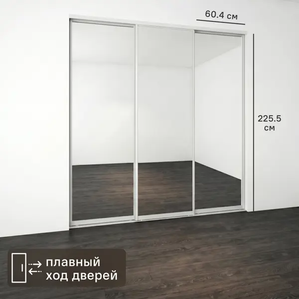 Дверь-купе KONSENSA 225.5x60.4 см с зеркалом профиль матовое серебро