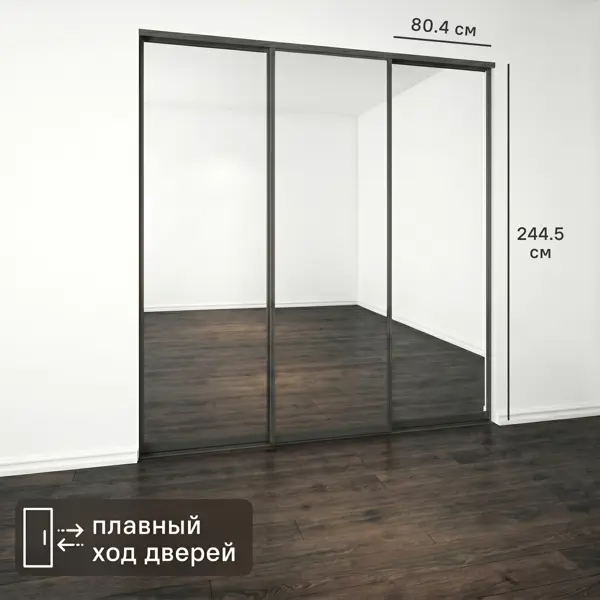 Дверь-купе KONSENSA 244.5x80.4 см с зеркалом профиль черный