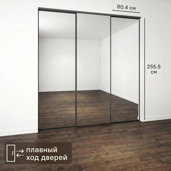 Дверь-купе KONSENSA 255.5x80.4 см с зеркалом профиль черный узкий