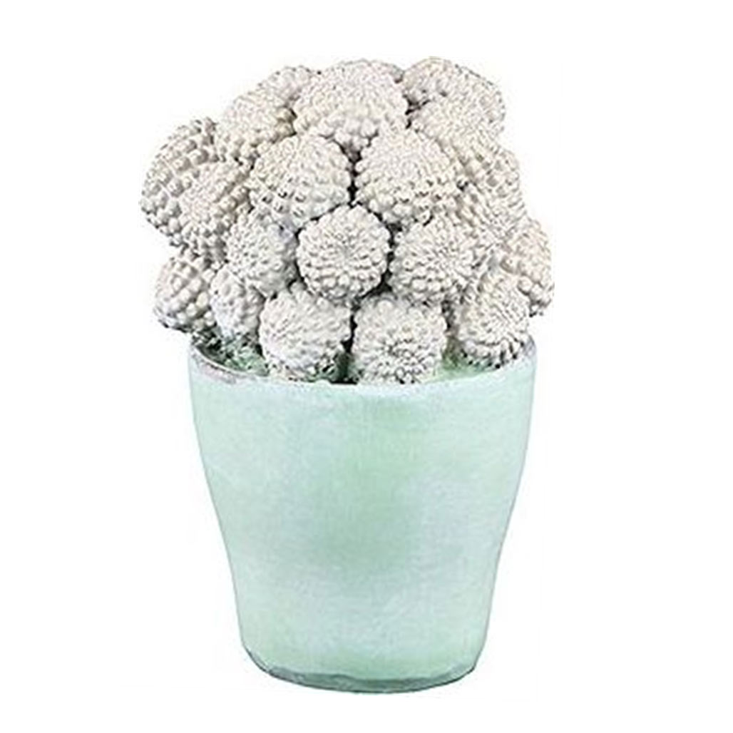 Фигурка Glasar Кактус 8x8x13см