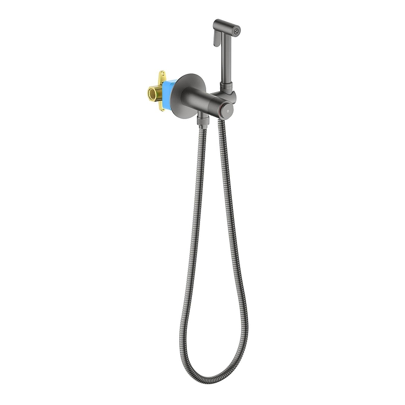Гигиенический душ со смесителем Aquatek Бетта AQ1023BGM цвет Оружейная сталь