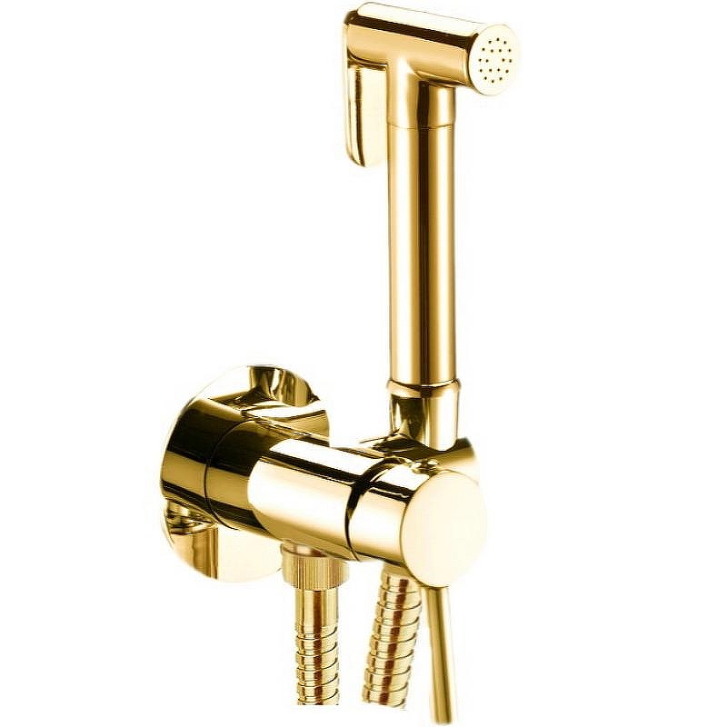 Гигиенический душ со смесителем Webert Sax Evolution SE870303010 Золото