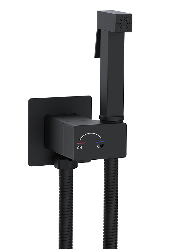 Гигиенический душ со смесителем WeltWasser Higi Q01 BL 10000013666 цвет Черный матовый