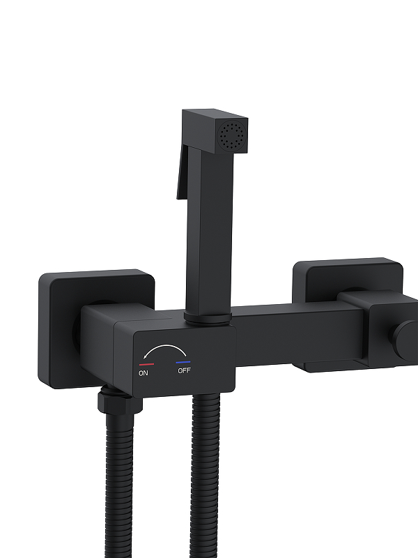 Гигиенический душ со смесителем WeltWasser Higi Q02 BL 10000013673 цвет Черный матовый