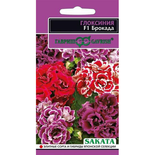 Глоксиния Гавриш Брокада F1 гранул. 4 шт. пробирка серия Саката