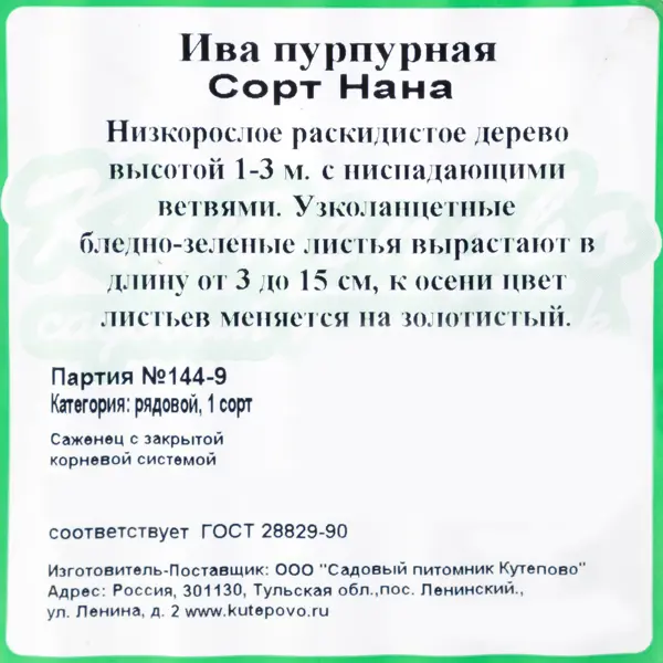 Ива пурпурная «Нана» С2 40 см
