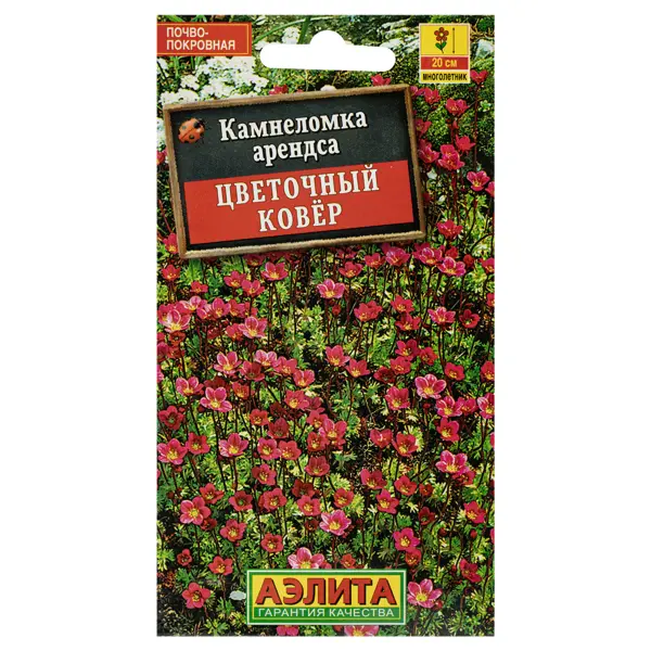 Камнеломка «Цветочный ковёр»