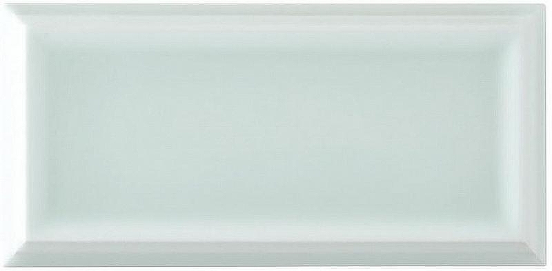 Керамическая плитка Adex Studio Liso Framed Fern ADST1068 настенная 7,3х14,8 см