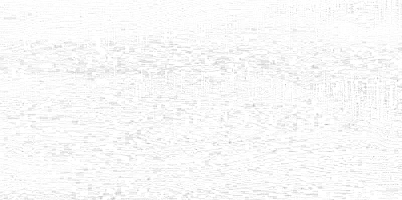 Керамическая плитка AltaCera Briole White WT9BRE00 настенная 24,9х50 см