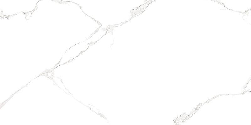 Керамическая плитка AltaCera Elemento Bianco Carrara WT9ELT00 настенная 25х50 см