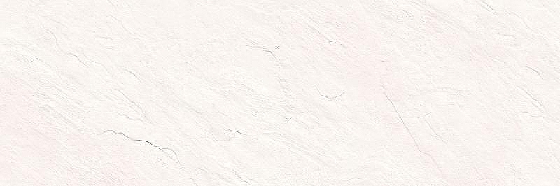 Керамическая плитка Delacora Evan White WT15EVA00R настенная 24,6х74 см