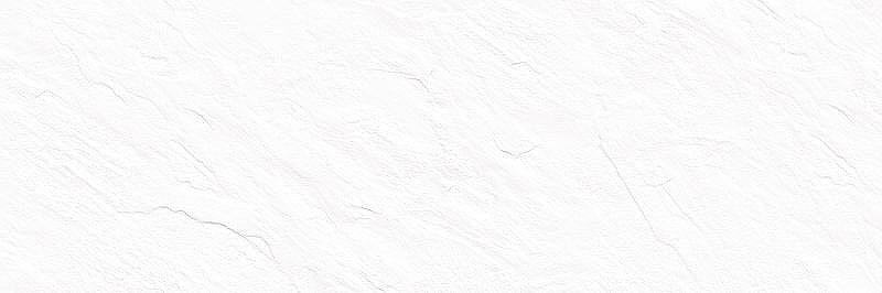Керамическая плитка Delacora Leon White WT15LEN00R настенная 24,6х74 см