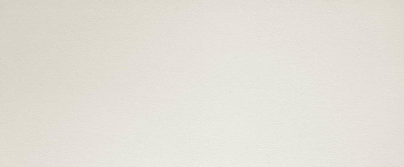 Керамическая плитка Fap Ceramiche Lumina Sand Art White Extra Matt RT fPK5 настенная 50x120 см