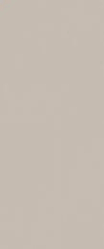 Керамическая плитка Fap Ceramiche True Color Fossil fTDU настенная 50х120 см