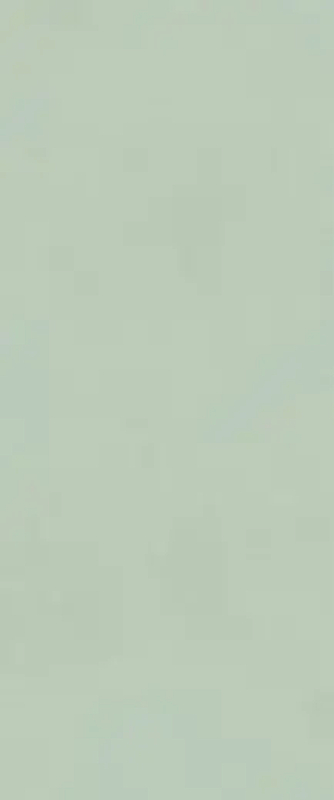 Керамическая плитка Fap Ceramiche True Color Matcha fTDV настенная 50х120 см