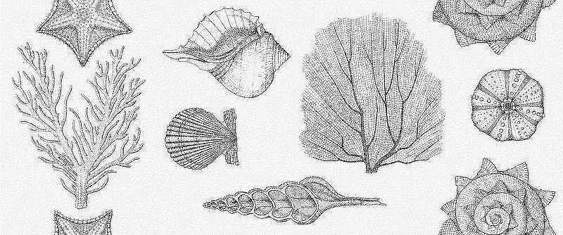 Керамическая плитка Gracia Ceramica Aqua/Monocolor sugar White Белый 01 010100001536 настенная 25х60 см