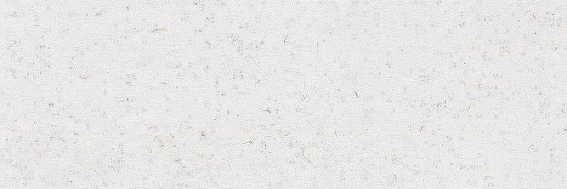 Керамическая плитка Ibero Botanical Natural Rect. R0002308 настенная 30х90 см