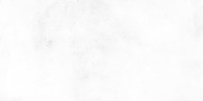 Керамическая плитка NewTrend Konor White WT9KON00 настенная 24,9х50 см