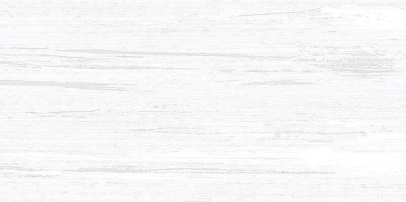 Керамическая плитка NewTrend Vincenzo Grigio WT9VIN25 настенная 24,9х50 см