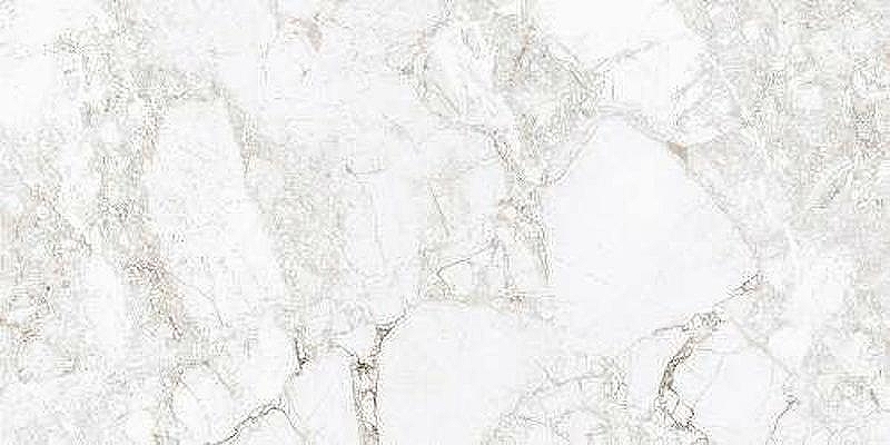 Керамогранит Absolut Gres Rossalia Natural AB 1171G 60х120 см