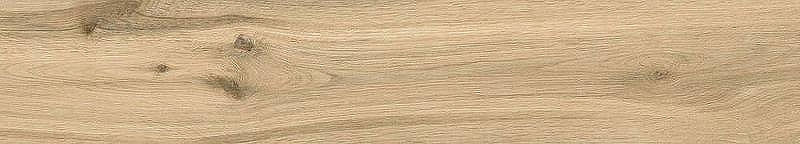 Керамогранит Absolut Gres Wildwood Natural AB 1161W 20х120 см