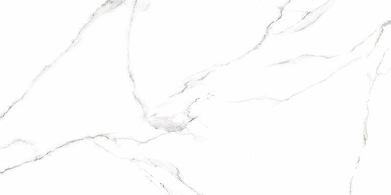 Керамогранит Alma Ceramica Carrara GFU60120CRR00R 60х120 см