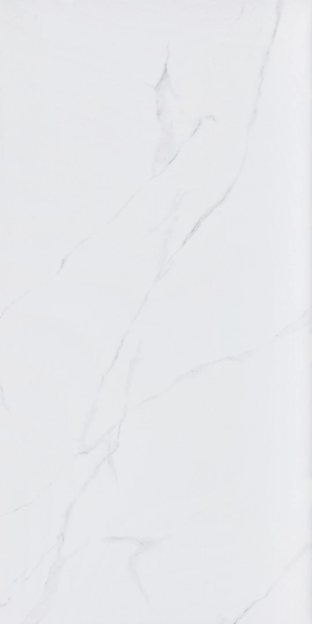 Керамогранит Alma Ceramica Каррара белый матовый 1200x600x8,5 мм (2 шт.=1,44 кв.м)
