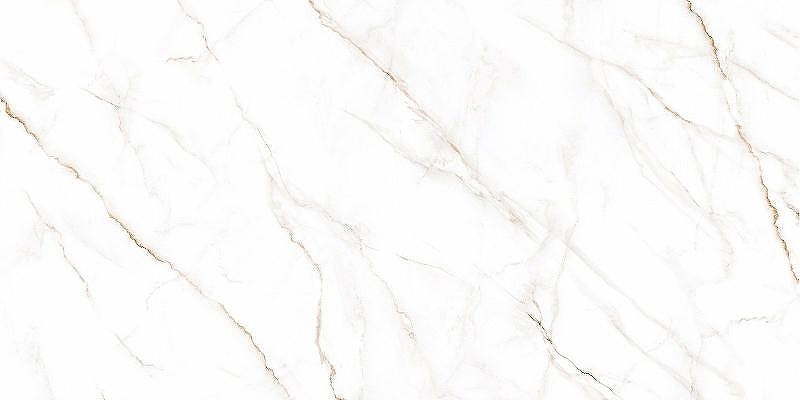Керамогранит Alma Ceramica Neo Calacatta GFU60120NCL04R 60х120 см