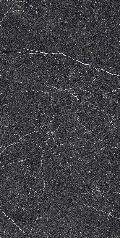 Керамогранит Arcadia Ceramica Equistone Charcol RG6003-A черный матовый 60х120 см