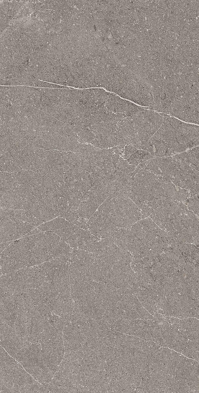Керамогранит Arcadia Ceramica Equistone Graphite RG6002-A серый матовый 60х120 см