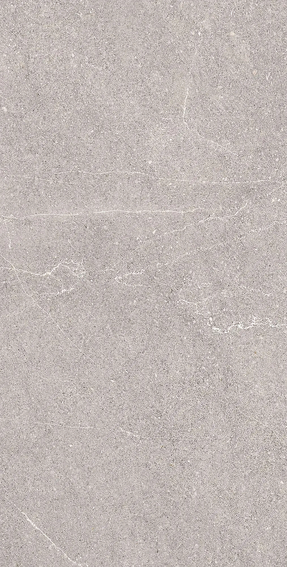 Керамогранит Arcadia Ceramica Equistone gris RG6001-A 60х120 см
