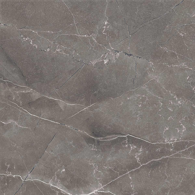 Керамогранит Arcadia Ceramica Pulpis Nero FP1014-A серый полированный 60х60 см