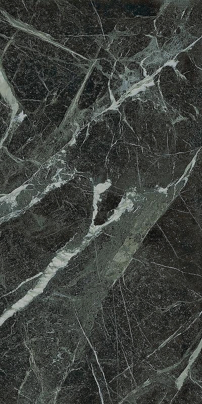 Керамогранит Ariana Epoque 21 Veria Green Ant PF60009345 60x120 см
