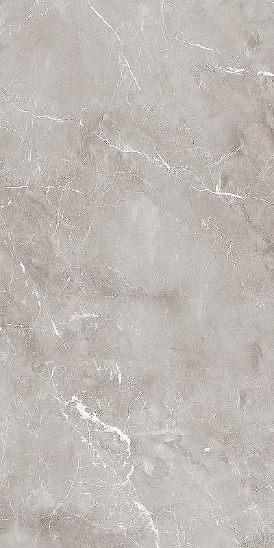 Керамогранит Ariana Epoque Grey Ret PF60004297 60x120 см
