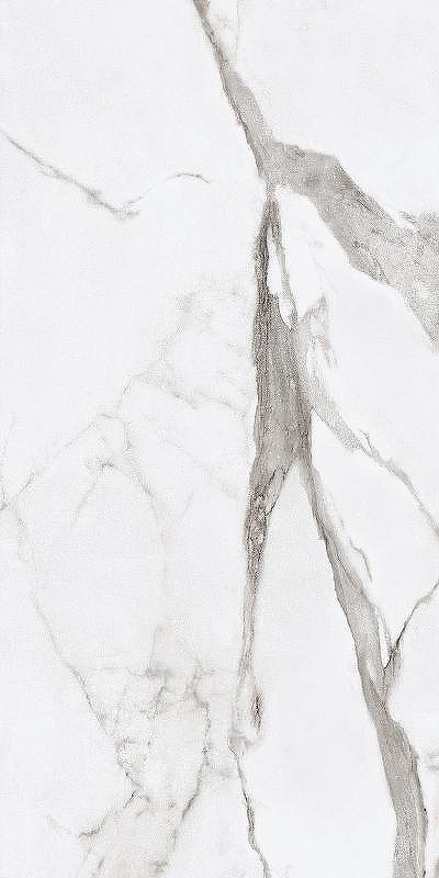 Керамогранит Ariana Epoque White Statuario Ret PF60004770 60x120 см