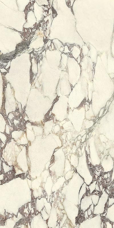 Керамогранит Ariostea Marmi Classici Calacatta Viola luc. rett. PL612671 60х120 см
