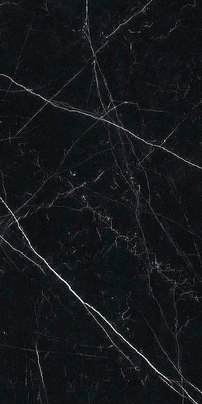 Керамогранит Ariostea Marmi Classici Nero Marquinia lev silk PK612547 60x120 см