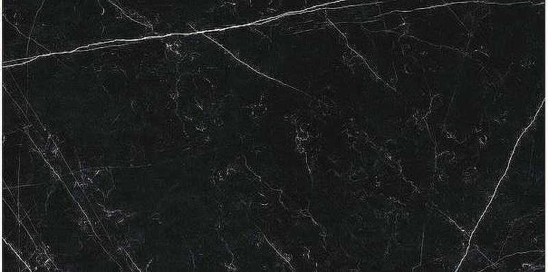 Керамогранит Ariostea Marmi Classici Nero Marquinia luc rett PL612547 60x120 см