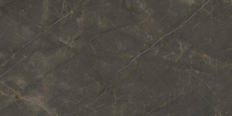 Керамогранит Ariostea Marmi Classici Pulpis Grey soft rett P612515 60x120 см