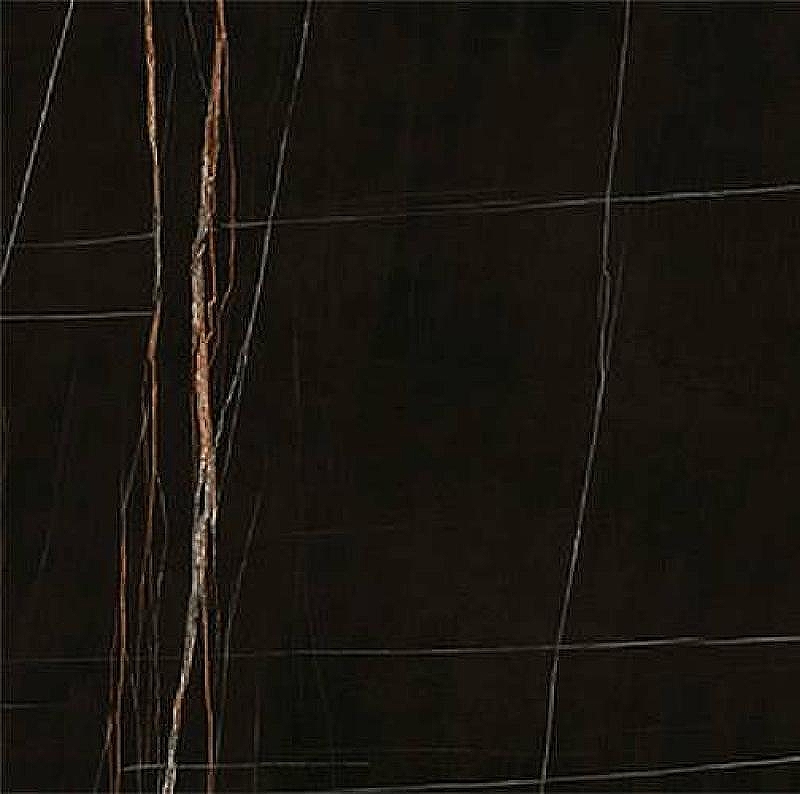 Керамогранит Ariostea Ultra Marmi Sahara Noir Lev Silk UM6SK120585 120х120 см