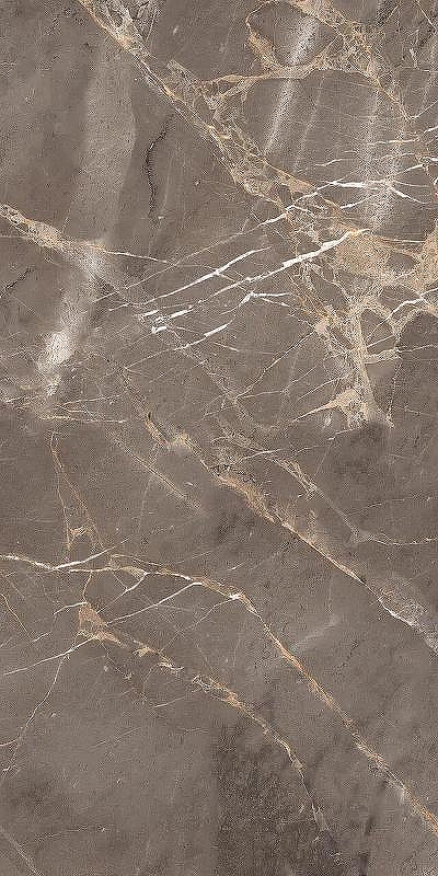 Керамогранит Artcer Marble Dove Brown Poli 863 60x120