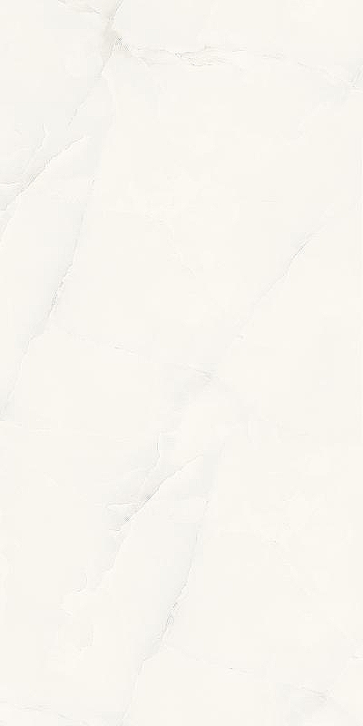 Керамогранит Artcer Marble Elvine Grey Poli 892 60х120